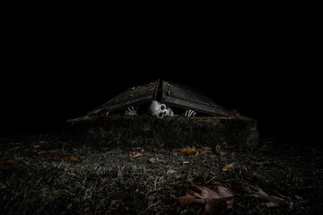 Trapped Skeleton trying to escape cellar entrance which is chained shut. Halloween Poster