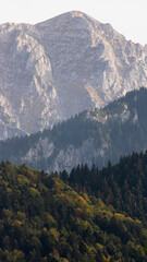 Fototapeta premium landscape in the mountains