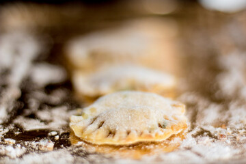 Close up. Home made filled pasta with vegetables. Flour on the floor and reflection