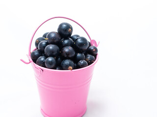 Pink bucket on a white background filled with black currants