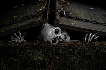 Trapped Skeleton trying to escape cellar entrance which is chained shut.