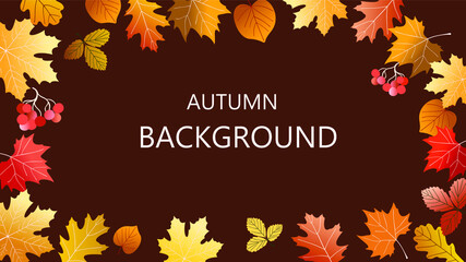 Vector abstract horizontal background with autumn elements, shapes, plants. Background for promo poster and frame leaflet or web banner