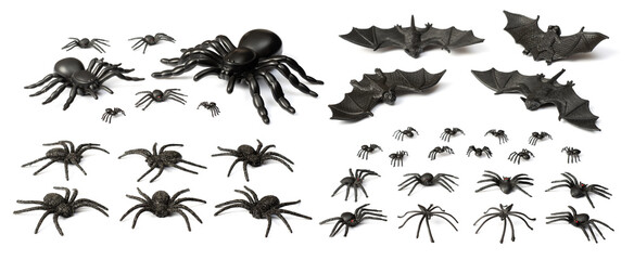 Halloween decoration, spiders and bats isolated on the white background