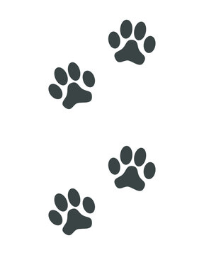 Prints paws dog graphic sign. Animal footprints icon isolated on white background. Vector illustration