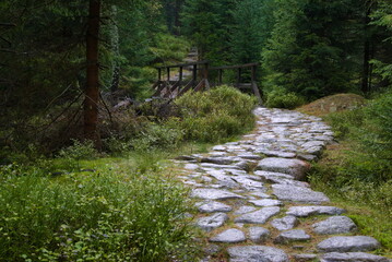 Ścieżka w górach - szlak czarny w Karkonoszach prowadzący do Czarnego Kotła Jagniątkowskiego w jesiennej scenerii.