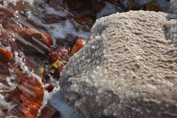 Dead sea coast in Ein Gedi. Israel