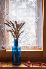 At blue bottle with ears of rye on the wooden windowsill against the background of a lace curtain.