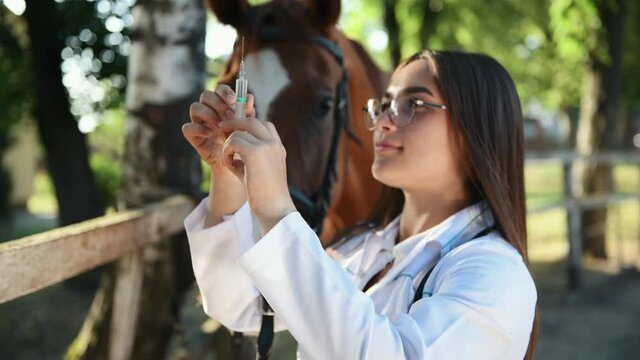 Female vet does the injection to the horse outdoors at the farm at daytime.