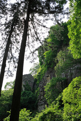 奥の細道　立石寺せみ塚