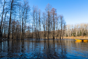 Obraz premium Flooded soomaa bog in spring, fifth season