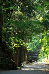 奥の細道　中尊寺