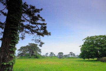 奥の細道　象潟九十九島