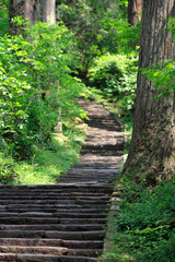 羽黒山の参道石段