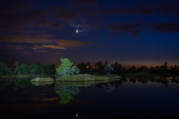 swamp lake at night with starry sky