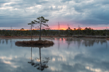 Swamp lake with islands in misty morning