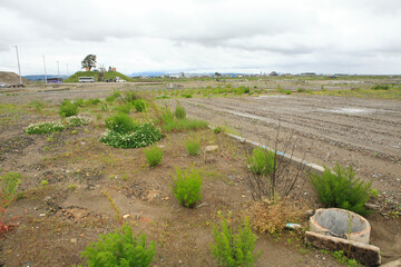 閖上地区の津波被災地