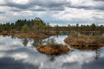 Swamp lake with islands in misty morning