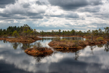 Swamp lake with islands in misty morning