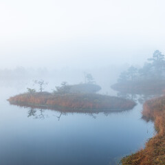 misty morning in the swamp lake