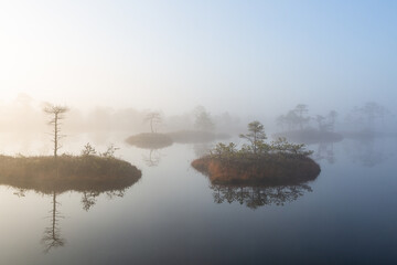 Obraz premium misty morning in the swamp lake