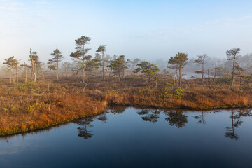 misty morning in the swamp lake