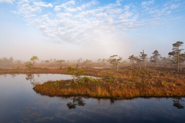 Fototapeta premium misty morning in the swamp lake