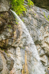 Filet d'eau tombant en cascade au milieu d'un rocher dans une rivière, avec de la végétation verdoyante et des cailloux au sol