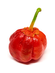 habanero, pepper, chili, red, 7 pot