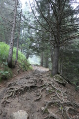 Paysage