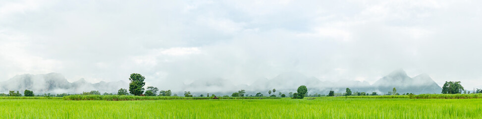Phuphaman district mountain landscape with front green rice farm background