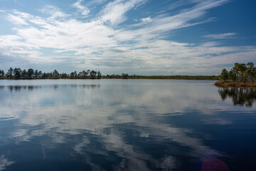 Swamp lake with islands in sunny days