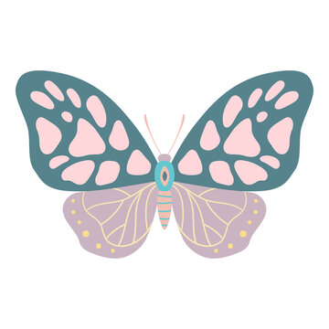 butterfly isolated on white. Flat style. Vector