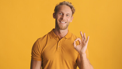 Handsome bearded man showing ok gesture agreeing with friend on camera over colorful background. Well done expression