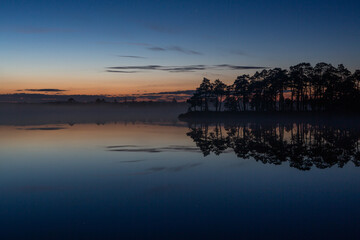 swamp lake at night with starry sky