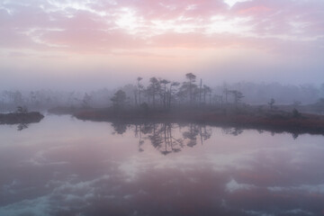 Fototapeta na wymiar Misty morning in swamp lake