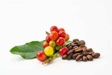 Bunch of arabica coffee fruit with green leaf and pile of roasted coffee beans on white background.