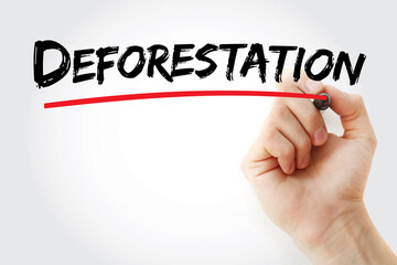 Deforestation text with marker, concept background