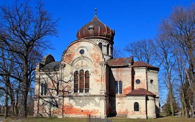 Obraz premium Stary Dzików