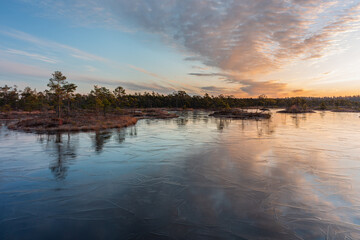Swamp lake with islands in sunny day and sunrise