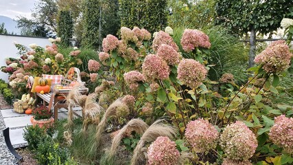 flowers in the garden