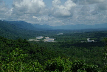 Wonders of the Amazon Rainforest in the Viceroyalty of Peru