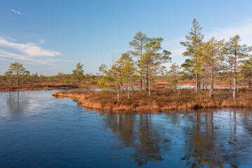 Swamp lake with islands in sunny day