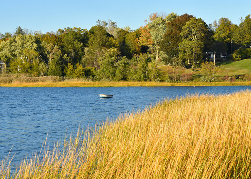 A lone rowboat floats at its mooring in the harbor at the beginning of autumn.  Copy space. 
