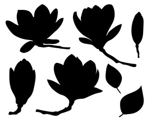 Set Magnolia silhouettes vector illustration