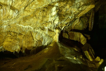 Jaskinia Niedźwiedzia w Kletnie kolo Stronia Śląskiego odkryta w 1966 roku. W miejscu tym...
