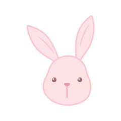 cute bunny face cartoon animal color design