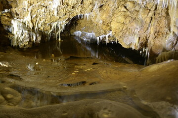 Jaskinia Niedźwiedzia w Kletnie kolo Stronia Śląskiego odkryta w 1966 roku. W miejscu tym odkryto szkielety niedźwiedzia jaskiniowego, lwa jaskiniowego i wiele innych zwierząt plejstocenskich - obrazy, fototapety, plakaty