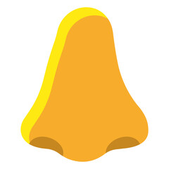 Nose 