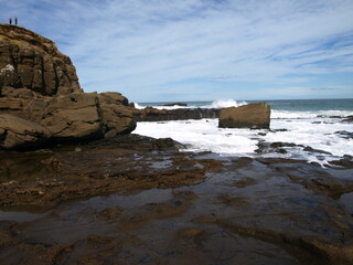 natural beauty of New Zealand Dunedin and Catlin beaches