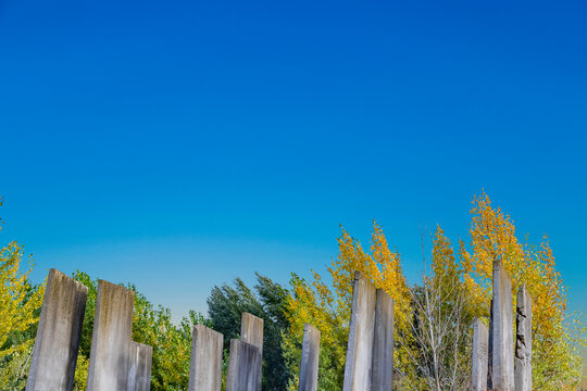 old concrete plates at an old industry ruin with ftree and blue sky background at river rhine